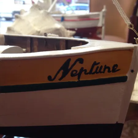 Neptune 2*